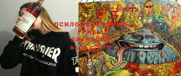 spice Абинск